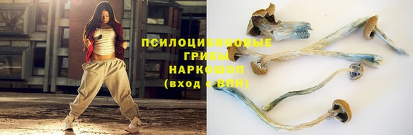 a pvp Инта
