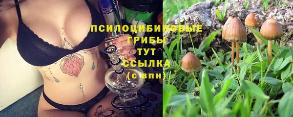 a pvp Инта