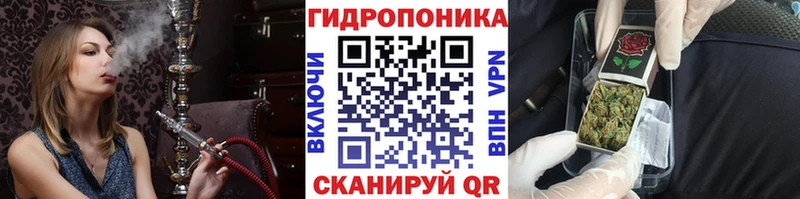Бошки марихуана SATIVA & INDICA  Купить закладки  Звенигород 